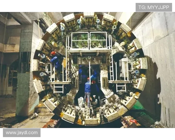 上海乒乓球队的拼搏历程与大师赛荣耀之路全景回顾 上海乒乓球队的拼搏历程与大师赛荣耀之路全景回顾