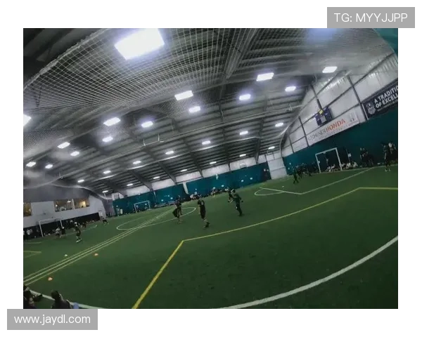 南京飞盘队在极限运动嘉年华中的战术表现分析与点评