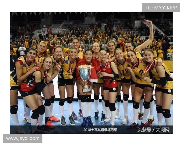 深圳排球队灵活性展现出色大满贯赛事点评分析 深圳排球队灵活性展现出色大满贯赛事点评分析