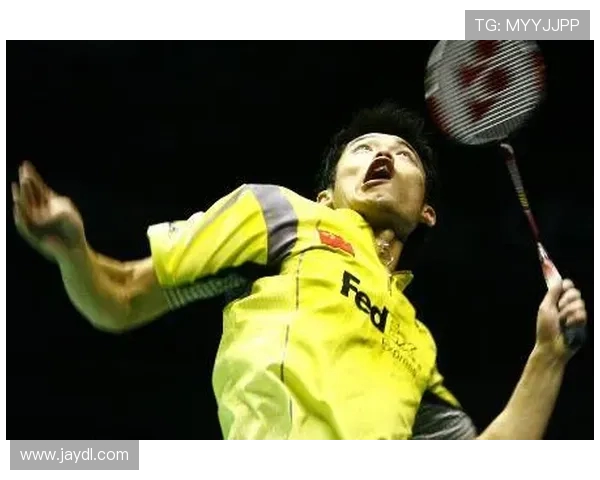 2014年羽毛球世锦赛林丹对决约根森的经典对抗赛回顾与分析 2014年羽毛球世锦赛林丹对决约根森的经典对抗赛回顾与分析