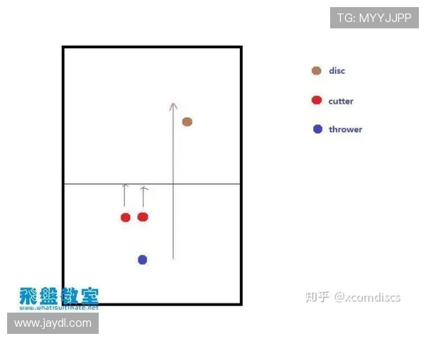 飞盘战术解析：深入探讨北京飞盘队的区域防守策略与技巧
