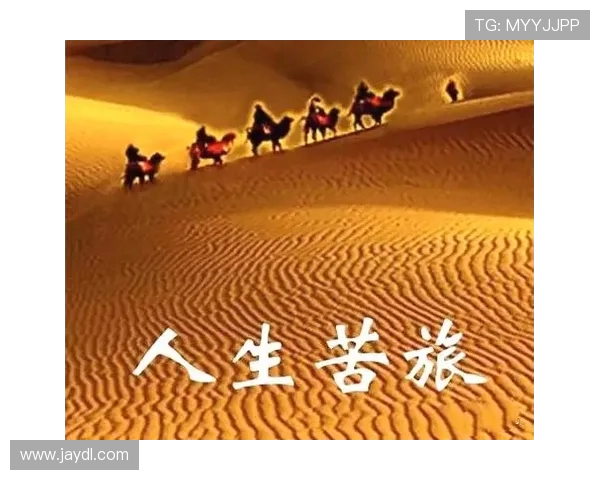 飞盘追梦:王军如何在激情与挑战中塑造人生旅程