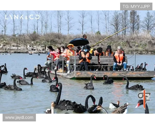 周磊专访:畅谈飞盘运动的发展与个人成长历程
