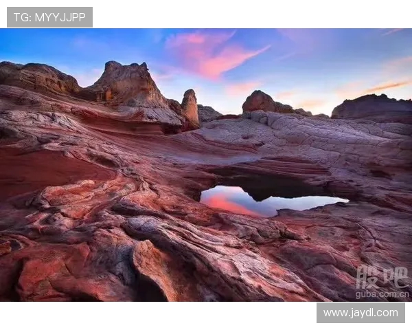 杭州极限运动队区域防守策略解析与热点趋势探讨